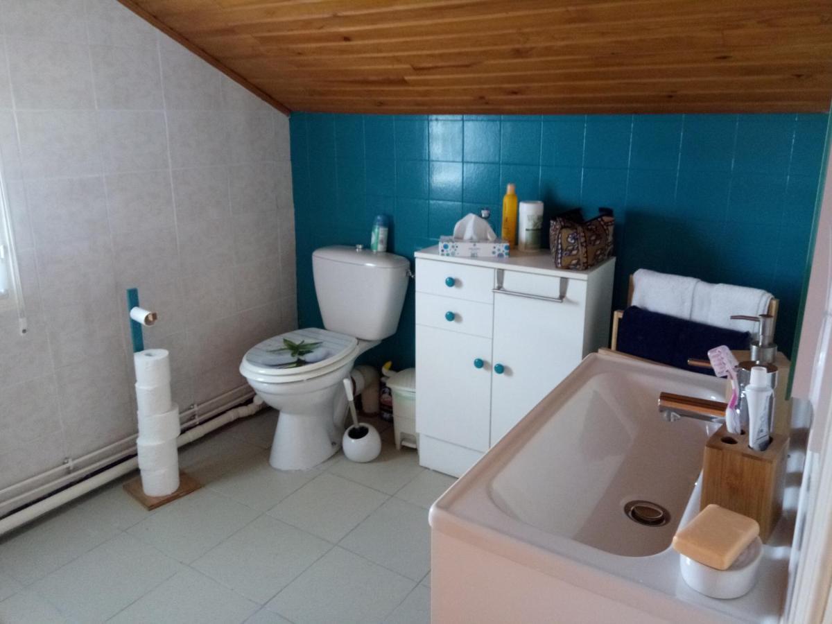 Chez Doris Et Alain Apartment Lannemezan Bagian luar foto