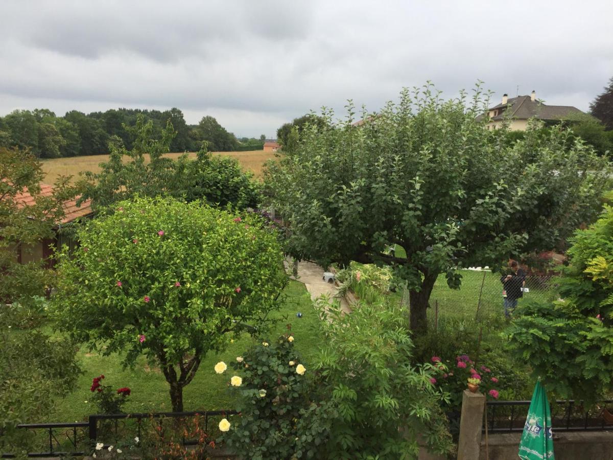 Chez Doris Et Alain Apartment Lannemezan Bagian luar foto